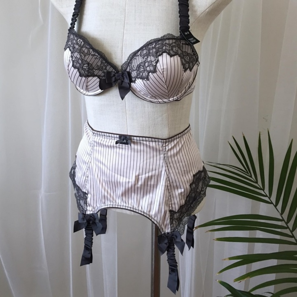 Vintage Pin-Stripe Lingerie Set (Bra + Garter) - Picture 1 of 5